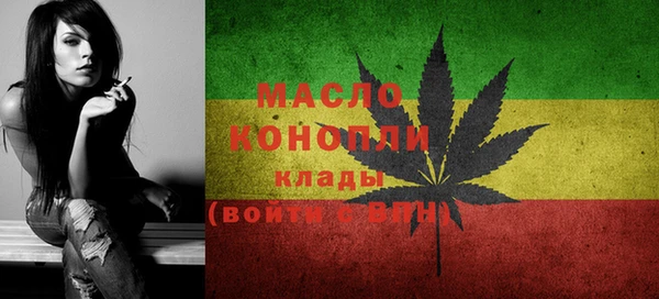 apvp Вяземский