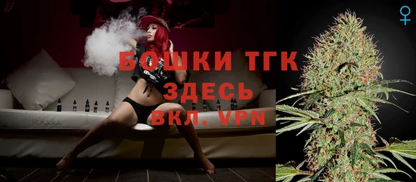 apvp Вяземский