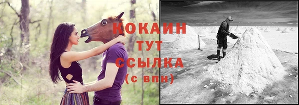apvp Вяземский