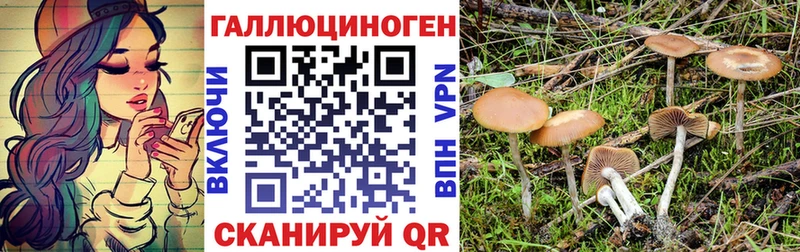 Псилоцибиновые грибы Psilocybine cubensis  что такое наркотик  Лодейное Поле 
